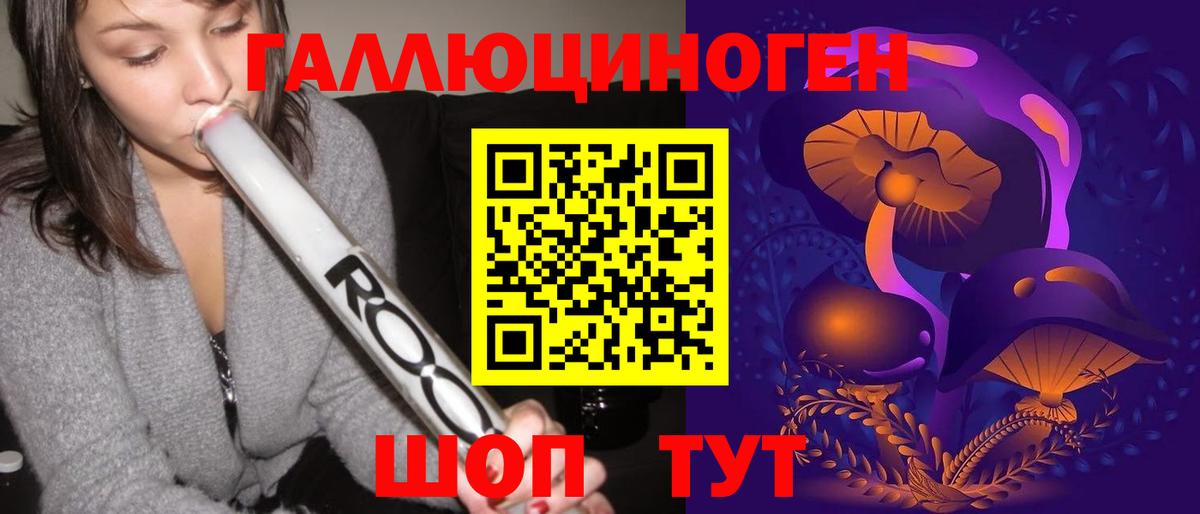 Вышний Волочёк  купить  сайты  Вход с VPN  Псилоцибиновые грибы Psilocybe 